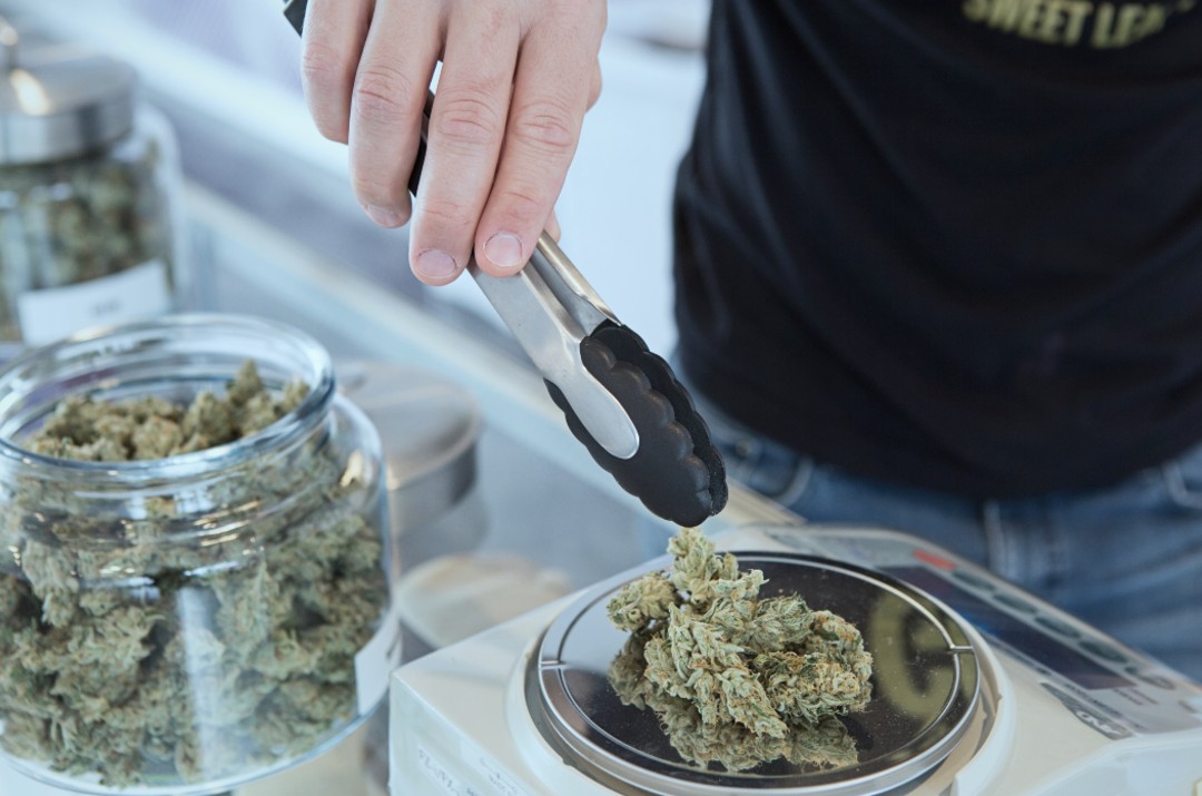 jar of marijuana buds and person weighing them