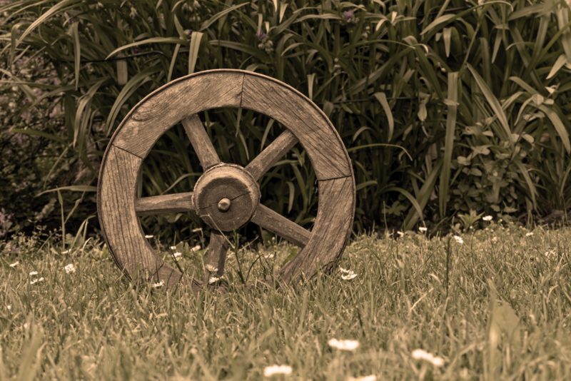 wheel-on-grass