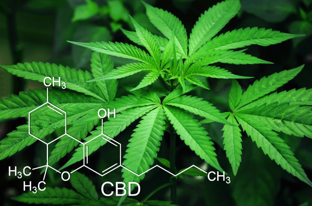 Cannabis-CBD-chemical-structure